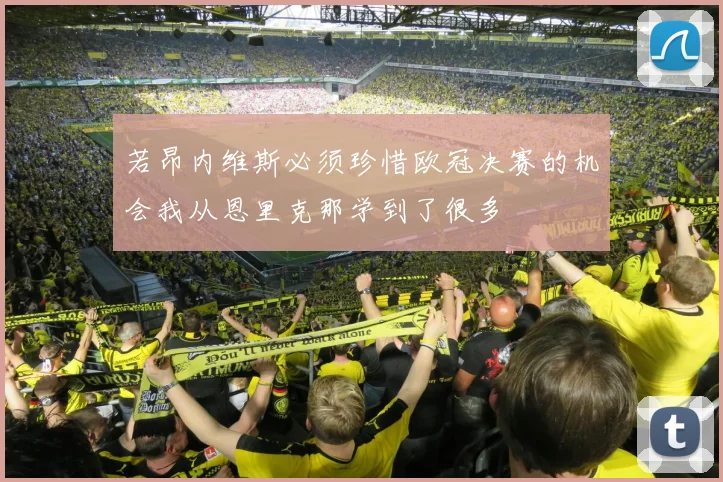 若昂内维斯必须珍惜欧冠决赛的机会我从恩里克那学到了很多